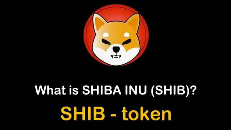 SHIB柴犬币是什么？详解柴犬币(shib币)项目介绍