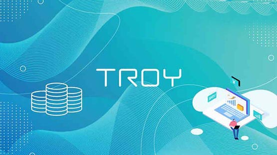 TROY币发展前景如何?TROY币未来前景分析